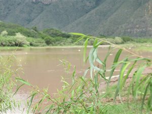 1740 ha Farm in East London Central