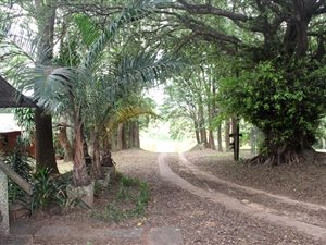 8.1 ha Farm in Umzumbe