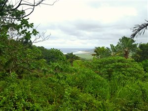 1426 m² Land available in Woodgrange