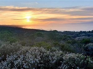2609 m² Land available in Springerbaai Eco Estate