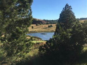 1168 m² Land available in Eye of Africa