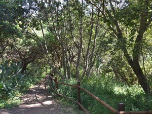 1 ha Land available in Poortview