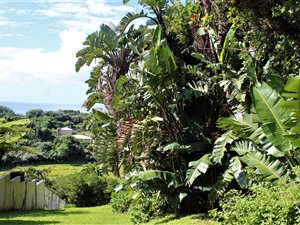 1800 m² Land available in Trafalgar