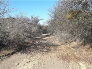2600 ha Farm in Riversdale