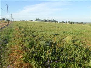 8500 m² Land available in Pendale AH