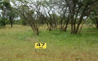 1 ha Land available in Modimolle