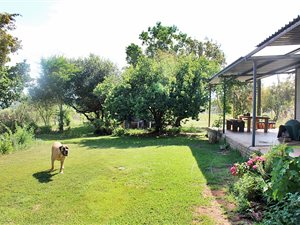 11.9 ha Farm in Broederstroom