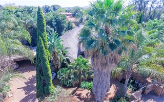 4 Bedroom House in Lyttelton Manor