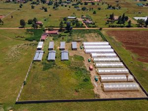 2.4 ha Farm in Westonaria
