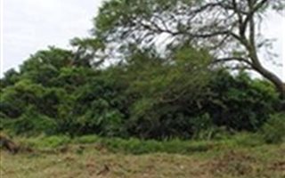 695 m² Land available in Brackenham