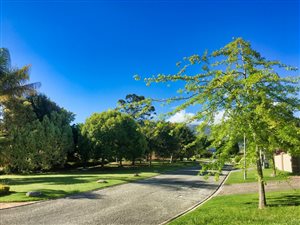 981 m² Land available in King George Park