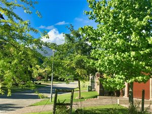 981 m² Land available in King George Park