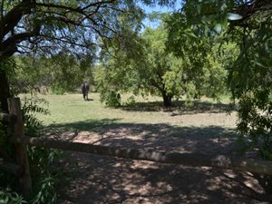 8565 m² Land available in Kyalami AH
