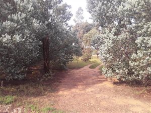 4.4 ha Land available in Walkers Fruit Farms