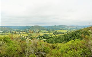 145 ha Land available in Wittedrift
