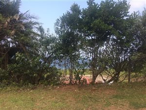 1451 m² Land available in Kelso