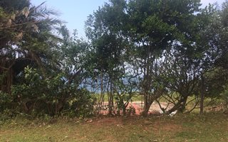 1451 m² Land available in Kelso