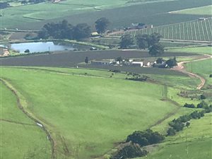 4.3 ha Farm in Durbanville Central