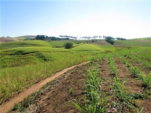 6.7 ha Farm in Tongaat Central