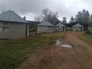 Farm in Queendustria