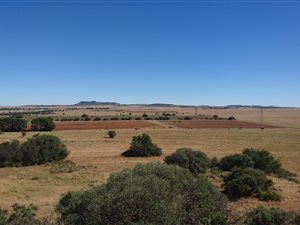 171 ha Farm in Bloemfontein Rural