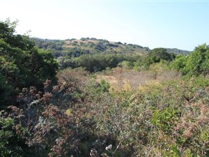 1150 m² Land available in Kaysers Beach