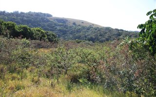 1150 m² Land available in Kaysers Beach