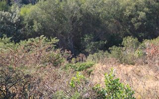 1150 m² Land available in Kaysers Beach