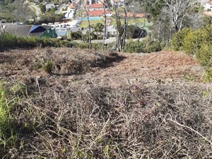 1125 m² Land available in Heuwelkruin