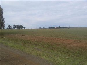 4.3 ha Land available in Martindale