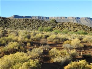 33 ha Farm in Calvinia
