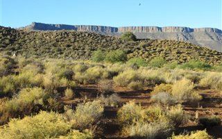 33 ha Farm in Calvinia