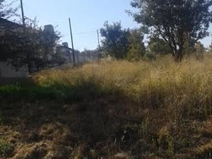 718 m² Land available in Doringkruin