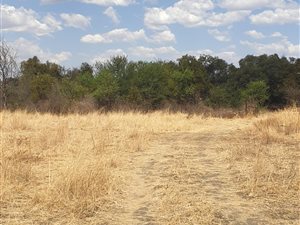 7931 m² Land available in Modimolle