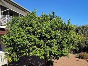 1 Bed Apartment in Rome Glen