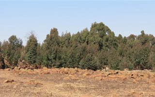 2855 m² Land available in Belfast