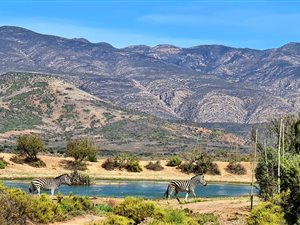 400 ha Farm in Ladismith