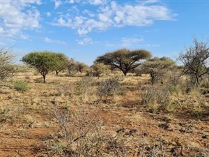 852 ha Farm in Douglas