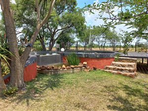 21 ha Farm in Dinokeng