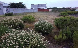 692 m² Land available in Franskraal