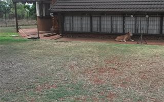 8.5 ha Smallholding in Strydfontein and surrounds
