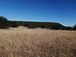 679.4 ha Farm in Brandfort