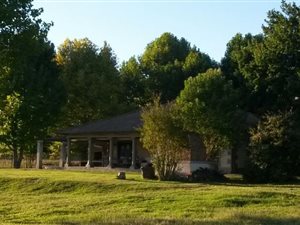 2.8 ha Farm in Rosetta