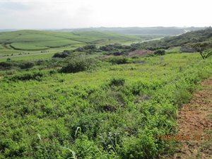 570 m² Land available in Illovo Beach