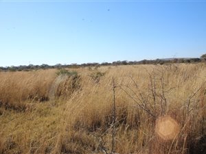 42 ha Farm in Boekenhoutskloof and surrounds