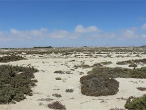 352 m² Land available in Port Nolloth