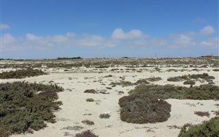 352 m² Land available in Port Nolloth