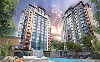 1 Bedroom Apartment in Morningside