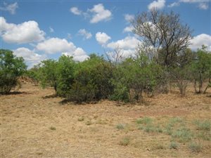 1010 m² Land available in Pebble Rock