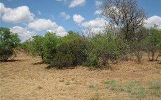 1010 m² Land available in Pebble Rock